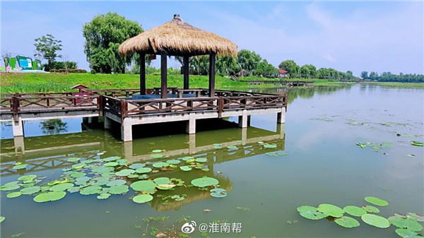 【圖說淮南】——初夏雨后的焦崗湖，暖風(fēng)徐徐！