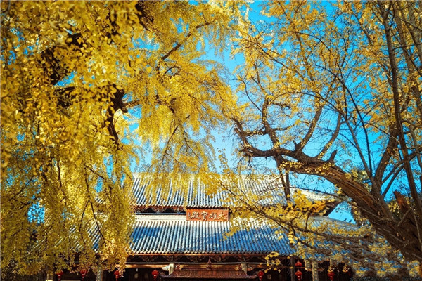 【圖說(shuō)淮南】——壽縣報(bào)恩禪寺