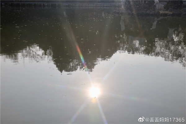 【圖說淮南】——淮南冬日的暖陽是什么樣的？