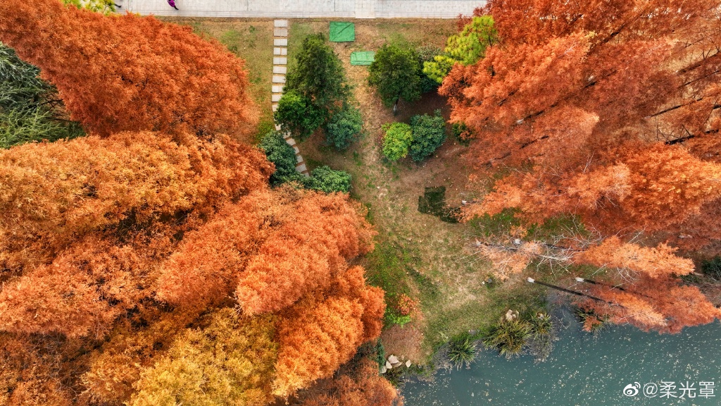 【圖說淮南】——淮南龍湖公園的冬天是什么顏色的呢？