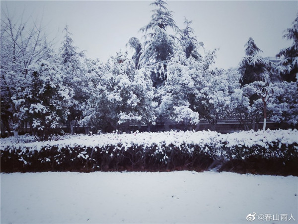【圖說淮南】——2022年淮南第一場雪！來的遲嗎？