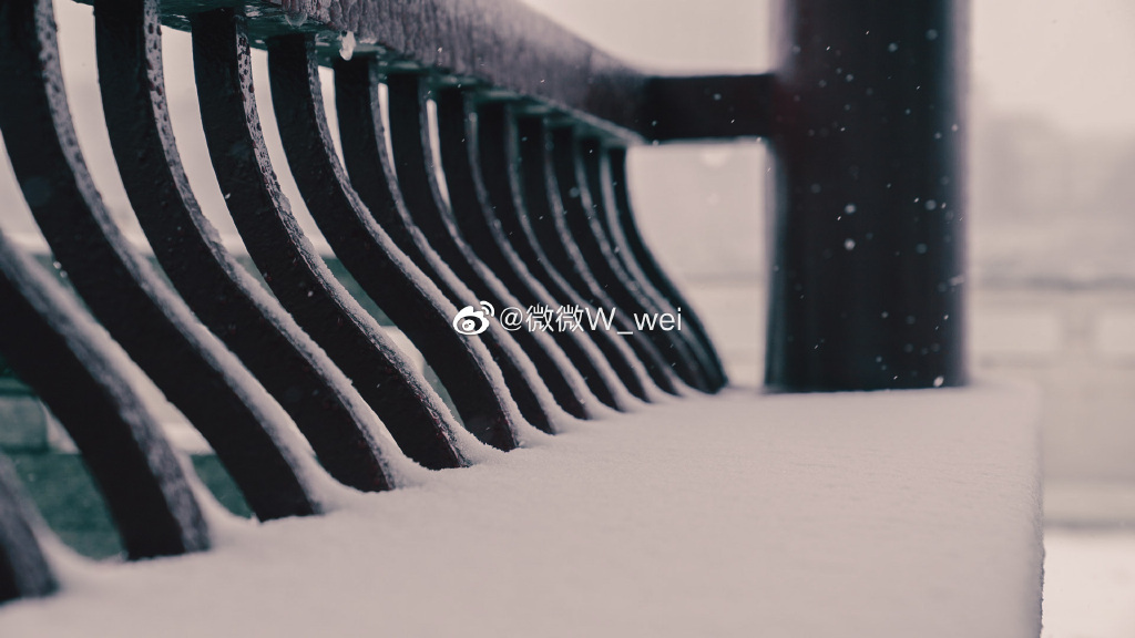 【圖說淮南】——太棒了！淮南龍湖公園的雪景你看過嗎！