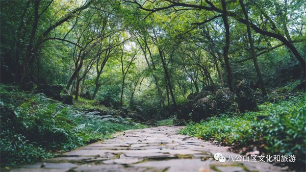 【圖說淮南】—— 早春徒步八公山，經(jīng)典路線推薦（下）
