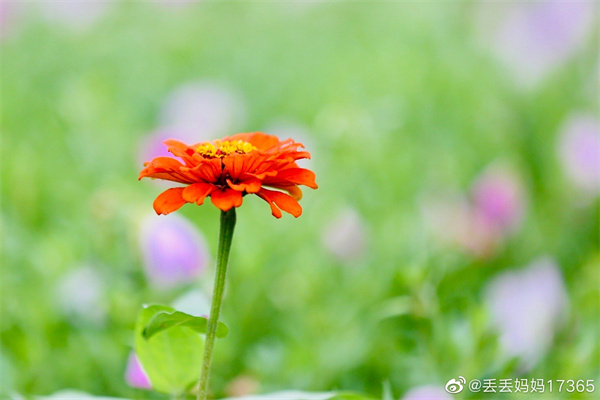 【圖說淮南】——今日芒種，愿你“芒”有所獲，“種”有所得